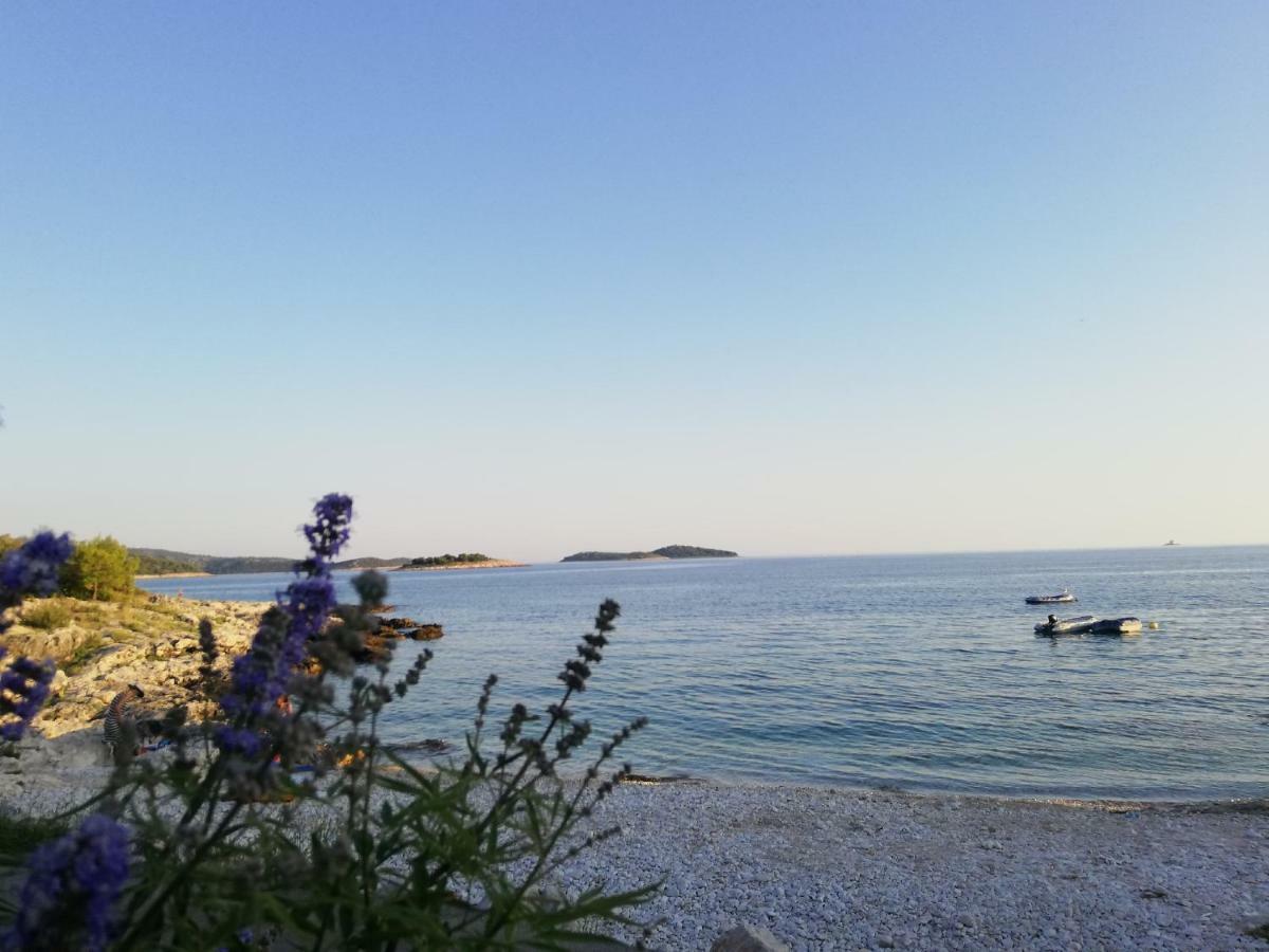 Villa Perla Dalmatica 罗戈兹尼察 外观 照片